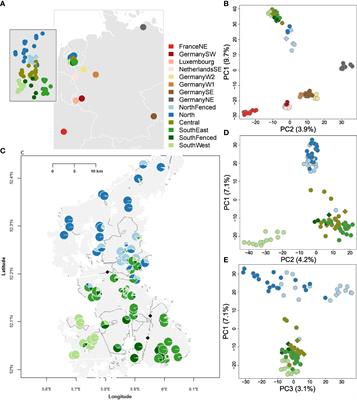 An inbreeding perspective on the effectiveness of wildlife population defragmentation measures – a case study on wild boar (Sus scrofa) of Veluwe, The Netherlands